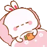 FLY_bun_sleep