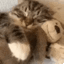 MS_hugging Discord emoji