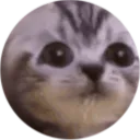 moreMoji