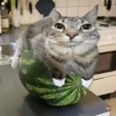 pussymelon custom emote | Russian language and culture learning