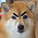 unamused