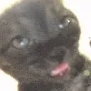 eh
