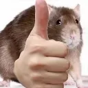 ratsup