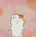 hamtarokiss