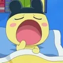 Mame_YAWN Mame_YAWN