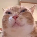 erm