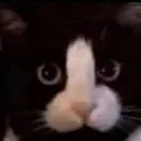 emoji_1