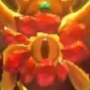 MasterCrown_Stare