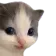 hehe