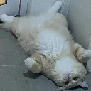 AHHHFUCK