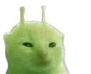Glorp