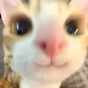 3_