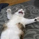 AHHHFUCK