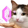 cat_boost Discord Emoji