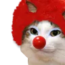 Cat Clown Cat_Clown Discord Emoji