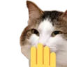 Cat Giggle Discord Emoji