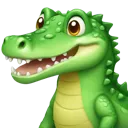 5_croco