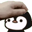 petthejoe
