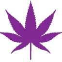 INDICA