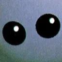 NZ_Stare