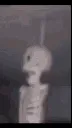imdead