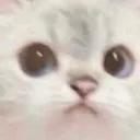 stare