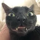 batcatsmiling Discord Emoji