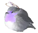 Birbin