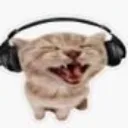 bop