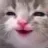 Happy Cat happy_cat Discord Emoji