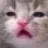 sad_cat Discord Emoji