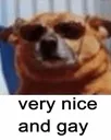 niceandgay niceandgay