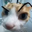 HUARGH