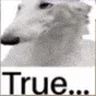 BorzoiTrue