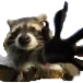 racgrab