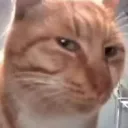 catsideeye