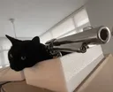ca36revolver