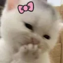 live_dwizer_reaction