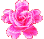 emoji_161