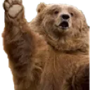 bear_wave