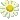 s_daisy