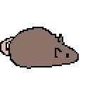 rat_spin