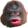 UhOhMonke