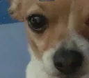 min