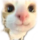 mrow
