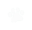 25paw