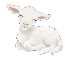 25lamb