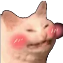 teehee