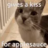 applesaucekiss
