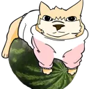julian_melon